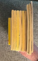 Lot of 11 Vintage Scholastic Chapter Books 1960’s- 1970’s paperbacks