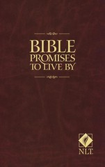 Bible Promises to Live By – paperback Beers, Ronald A.|Mason, Amy E.