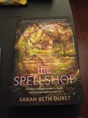 Spellshop by Sarah Beth Durst (2024, Hardcover)