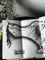 1937 Island of Bali Miguel Covarrubias 1st Edition Knopf Borzoi Hardcover