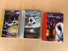 Guardians Of GaHoole Book Series By Kathryn Lasky 1-11 Scholastic Paperback Set