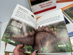 Set of 6 Dinosaur World Books Robin Birch Ex-Lib Teacher Homeschool Reading