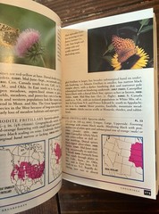 Field Guide to Western Butterflies by Paul A. Opler (1999, Trade Paperback)