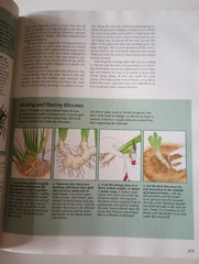 The Complete Garden Guide : A Comprehensive Reference for All Your Garden Needs