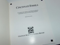 Cincinnati Fossils An Elementary Guide Ordovician Rocks & Fossils R A Davis Book