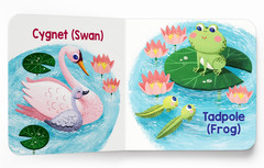 My First Baby Animal Boxed Set – (mini Box set) Multicolor