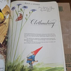 Gnomes, Forest Gnome, Text by Wil Huygen by Rien Poortvliet 1976. Pre-Owned