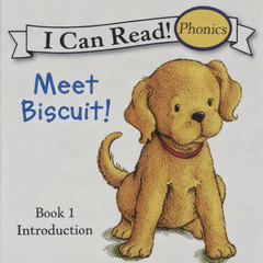 Biscuit I Can Read Phonics 24 Book Lot Kids Early Readers Learn to Read