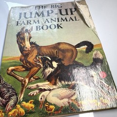 THE BIG JUMP UP FARM ANIMAL BOOK 1954 Huge Pop Ups Beautiful Illustrations