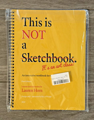This Is NOT a Sketchbook Lauren Horn Interactive Art Class Workbook New Sealed