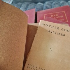 Little Leather Library Miniature Leather Bound Set 1920 HC English