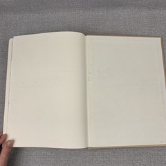 History of the Corning Painted Post Area 200 Years Thomas Dimitroff & Lois Janes