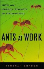 Ants At Work: How An Insect Society Is Organized by Deborah Gordon