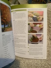 Tennessee & Kentucky Month-by-Month Gardening Judy Lowe Cool Springs Press 2013
