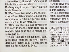 French Bible LARGE PRINT, Compact, Segond 1910 Grey Imitation Leather Red Letter