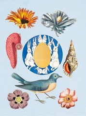 The Antiquarian Sticker Book: Over 1,000 Exquisite Victorian Stickers (The