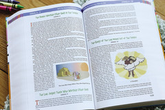 Nirv, the Illustrated Holy Bible for Kids, Hardcover, Full Color, Comfort Print: