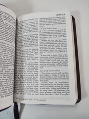 NIV New Testament Psalms Proverbs Bonded Leather Burgundy English Pocket Bible
