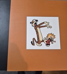 The Complete Calvin and Hobbes • 4 Book Box Set (Paperback)