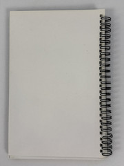2011 Traeger’s Everyday Cookbook-Wood Pellet Grill-101 pages-Spiral Bound