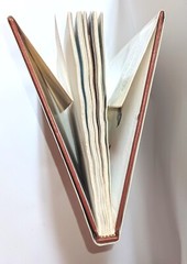 Forest GnomesHardback Book 212 Pages Illustrated By Rien Pooravliet Read Info