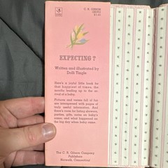 Expecting? Nursery Rhymes for Pregnant Times Dolli Tingle HC Illustrated