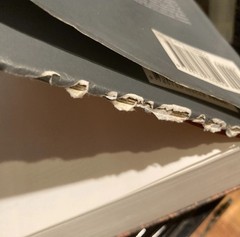 Art History (3rd Edition) – Hardcover By Marilyn Stokstad – 1256 Pages