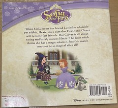 Sofia the First a Magical Match by Disney Book Group Staff (2014, Paperback)