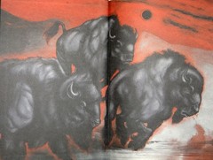Stephen Graham Jones SIGNED The Buffalo Hunter Hunter 1st Owlcrate Hardcover Ed