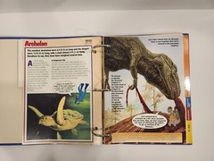 Dinosaur Cards By Newfield Publication 1994. 3 Ring Binder and 83 Pages/Inserts