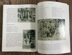„FISHING … MEXICAN STYLE” by Jeff Klassen 270 Pages Softcover/Hardcover Mexico