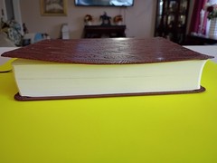 ESV Single Column Journaling Bible (TruTone, Chestnut, Leaves Design) Crossway