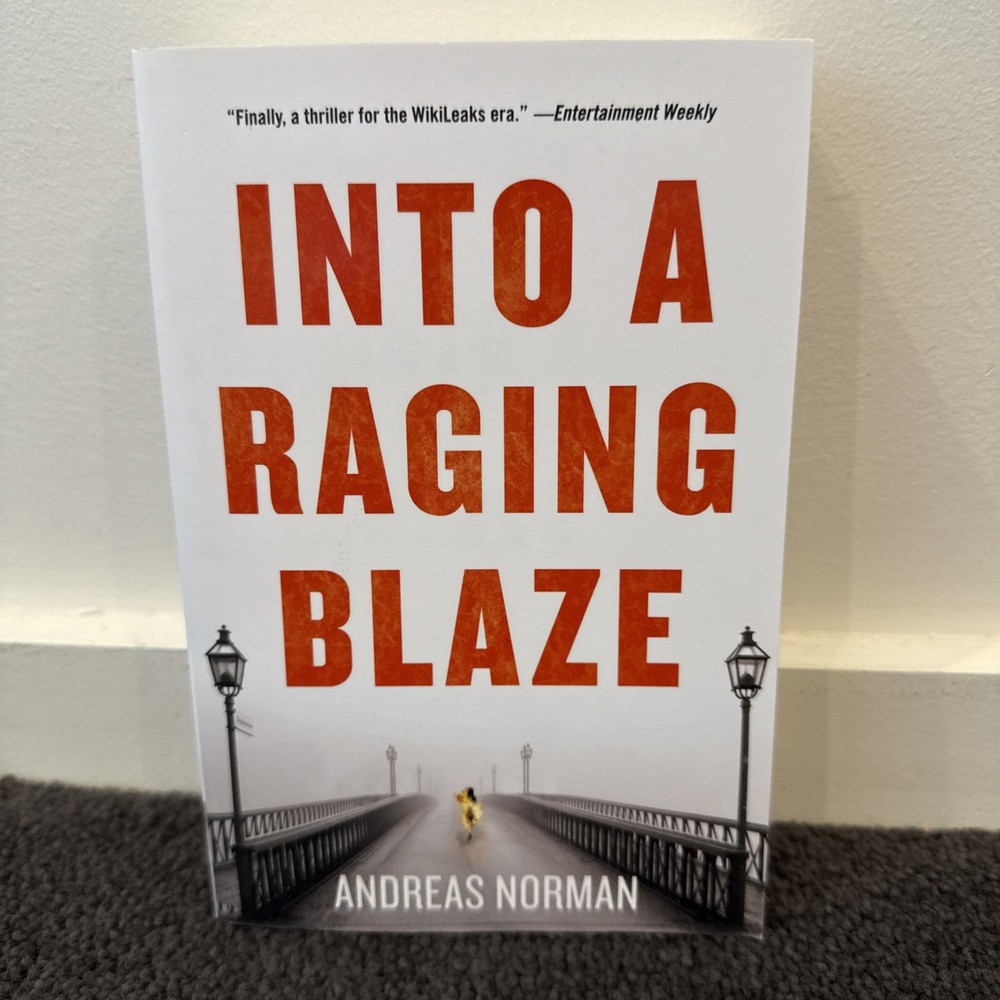 Into A Raging Blaze by Andreas Norman (Paperback, 2014)