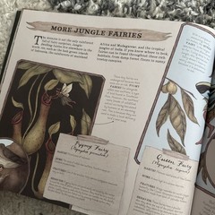 Natural History of Fairies by Emily Hawkins (2020, Hardcover)
