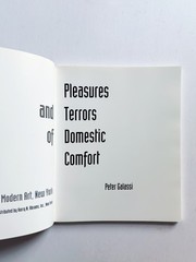 Pleasures and Terrors of Domestic Comfort, Peter Galassi (1991) 1st Edition Rare