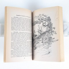 TOM BROWN’S GUIDE TO WILD EDIBLE AND MEDICINAL PLANTS by Tom Brown Jr. – 1985 PB