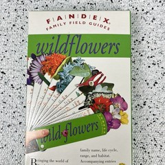 FANDEX Family Field Guide Wildflowers Full Color Die Cut Cards Homeschool