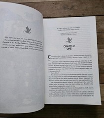 🐲 Fourth Wing 1st Printing Limited Edition Paperback Full Sprayed Dragon Edges