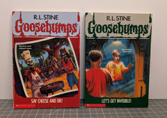 Lot of Goosebumps Vintage 1990s Books – Horror – Lot of 16 Books