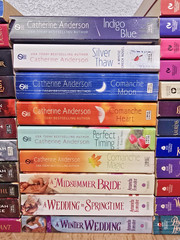 Big Lot 45 Historical Romance Novels Books Multiple Series & Authors