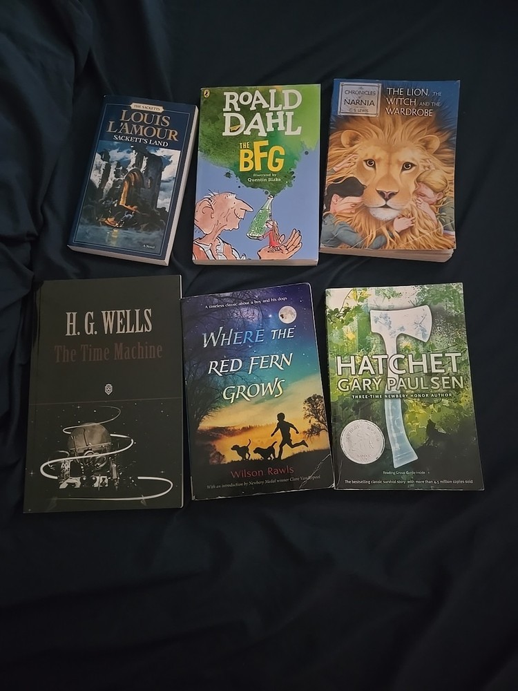 Books Lot of 6 Paperback