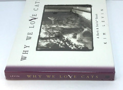 Why We Love Cats by Kim Levin. Kitty, Pets at Play, Best Friend Furry and Fluffy