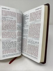 HCSB Large Print Compact Bible • Burgundy Bonded Leather (2005, Holman)