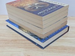 Guardians of Ga’Hoole Lot of 6 Kathryn Lasky 5 PB’s & 1 Hardcover