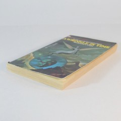 A Wrinkle in Time by Madeleine L’Engle 1976 vintage paperback Stranger Things