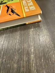 Red Ball in the Sky, Charles F. Blair, Signed Published 1970