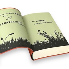 LEAVES OF GRASS by Walt Whitman Deluxe Flexi Bound Faux Leather Classics NEW