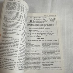 The Illustrated Bible – New Testament – Paperback By NIrV The Salvation Army