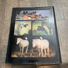Such Is the Real Nature of Horses by Robert Vavra (1998, Hardcover/Dust Jacket)