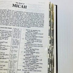 NASB Hebrew-Greek Key Word Study Bible – Hardcover AMG Publishers